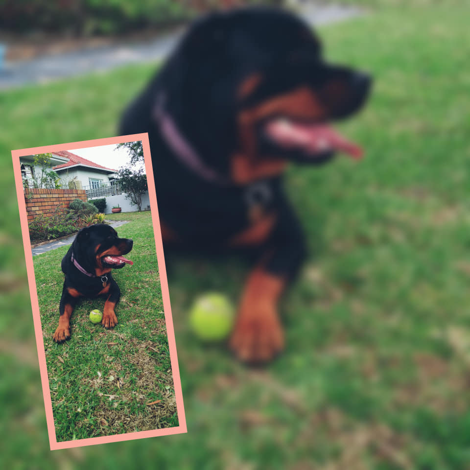 284378655_128118226545896_42425641668177022_n