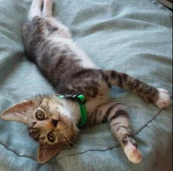 Screenshot 2022-09-01 at 17.46.05